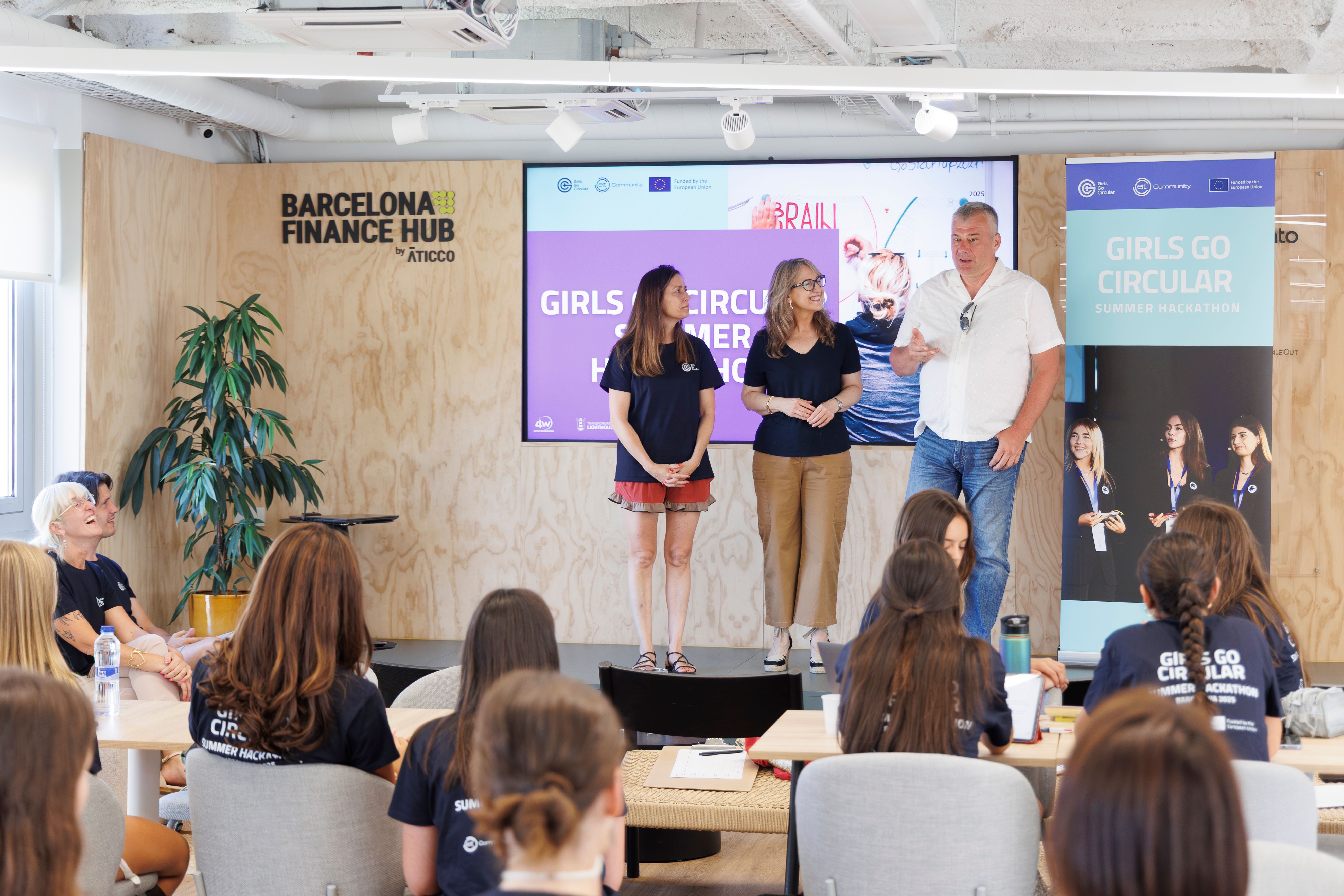 Online mentoring session